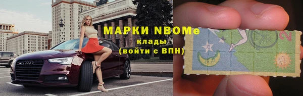 винт Лабытнанги