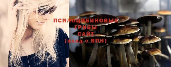 индика Ладушкин