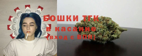 винт Лабытнанги