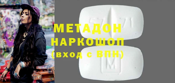 индика Ладушкин