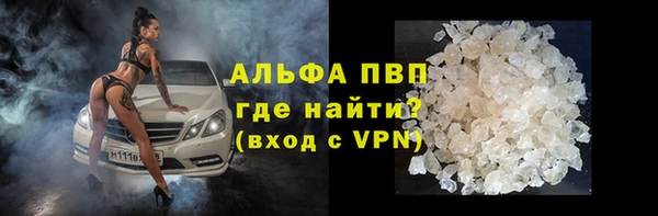 индика Ладушкин
