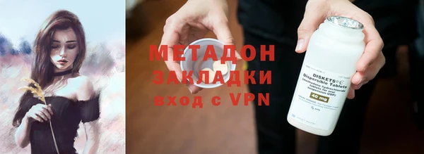 индика Ладушкин