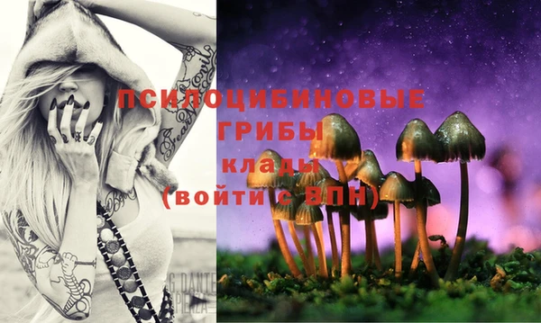 индика Ладушкин