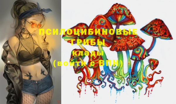 винт Лабытнанги