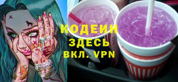 индика Ладушкин