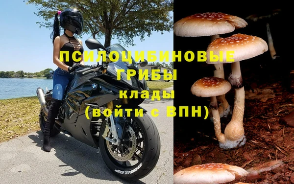 винт Лабытнанги