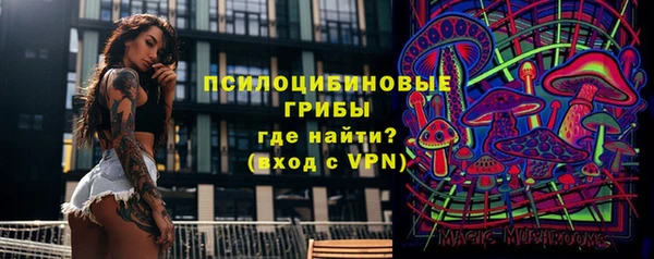 индика Ладушкин