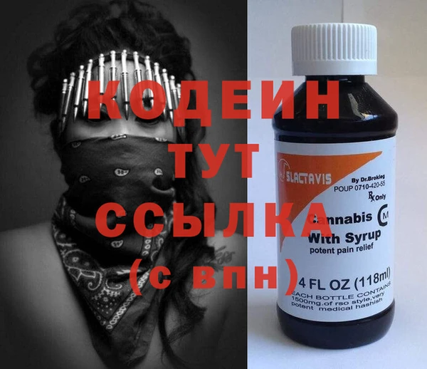 индика Ладушкин