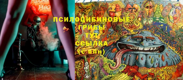 винт Лабытнанги
