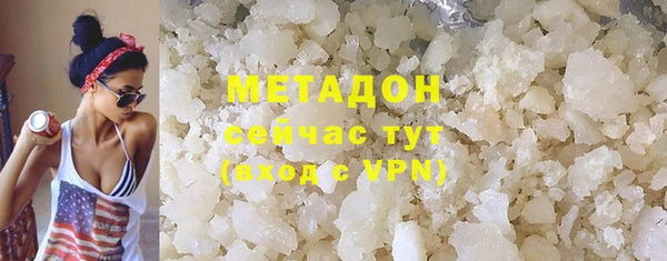 индика Ладушкин