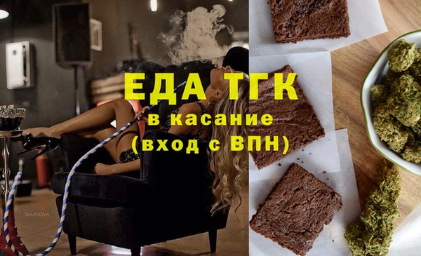 индика Ладушкин