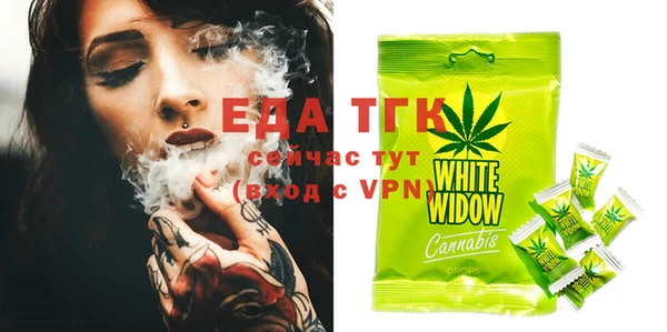 индика Ладушкин