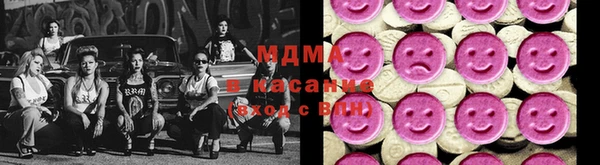 индика Ладушкин